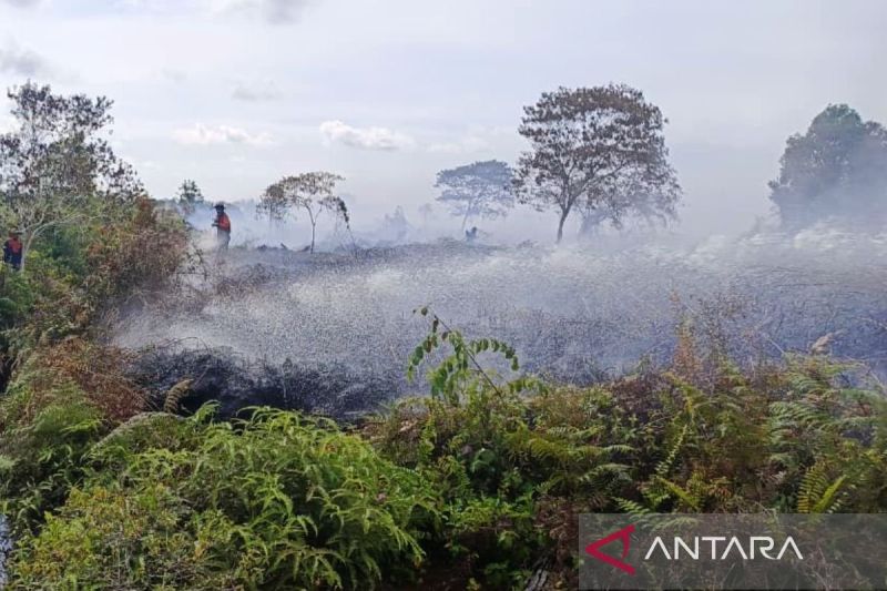 BPBD: Karhutla tiga kecamatan di Aceh Barat meluas, capai 9,6 hektare