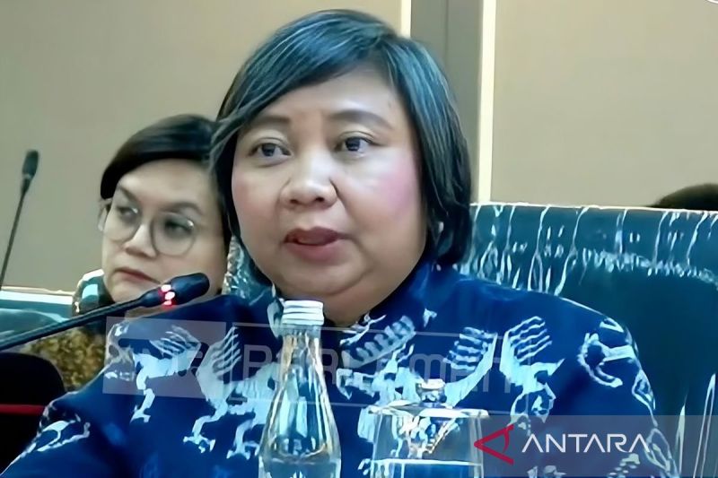 Komnas HAM minta penanganan karhutla lindungi hak warga terdampak