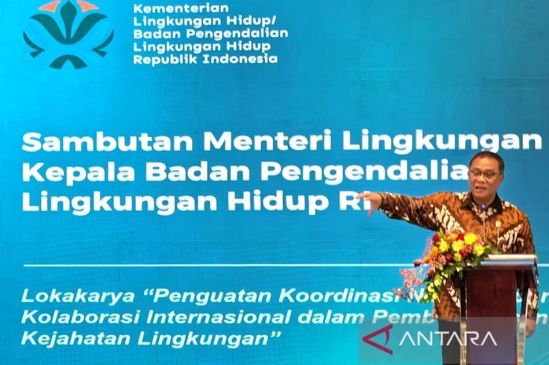 Pemerintah gandeng Interpol usut kejahatan lingkungan