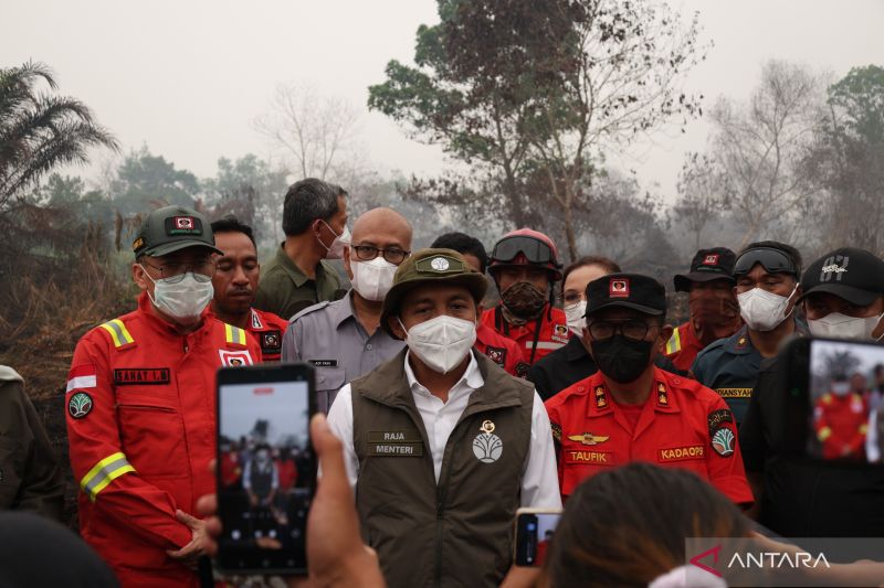 Menhut tutup izin lima perusahaan di Kalbar terkait karhutla