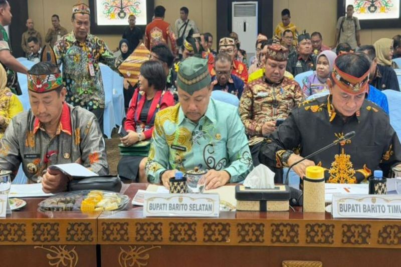 Pemkab Barito Selatan kerahkan tim gabungan tangani karhutla