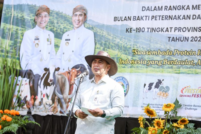 Pemprov Jateng andalkan inseminasi buatan dongkrak produksi susu
