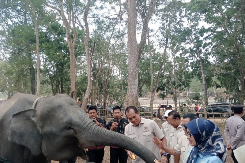 DPR minta penanganan karhutla di Way Kambas fokus pada pencegahan