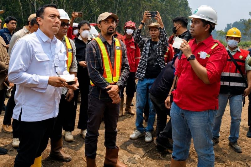 Wamen LH tinjau pembasahan gambut di Jambi di lahan PT WKS, dorong jadi percontohan atas karhutla