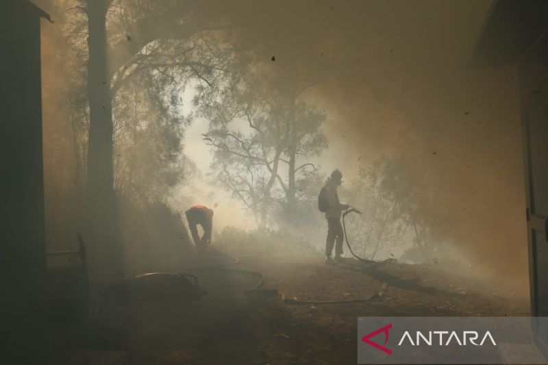 BPBD Banyuwangi: Karhutla TWA Ijen merembet ke Pos 4 jalur pendakian
