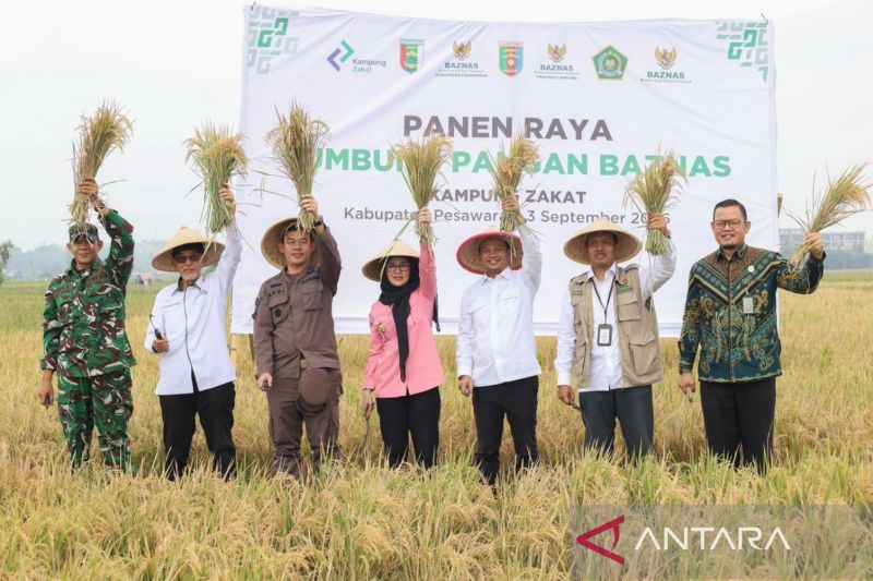Petani binaan Baznas di Lampung sukses hingga mampu bayar zakat tani