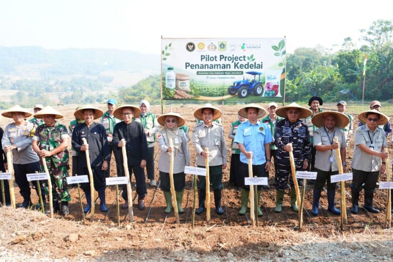 Kemenko Pangan mulai proyek percontohan kedelai di Cariu