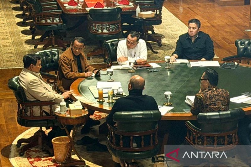 Prabowo dorong percepatan hilirisasi dan penataan BUMN