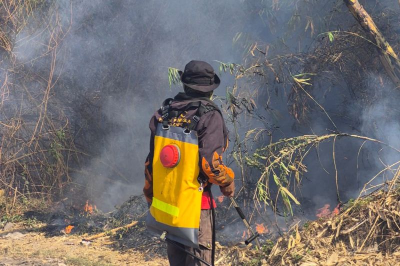 BBKSDA pastikan kebakaran di Guntur dan Cikuray tidak masuk Cagar Alam