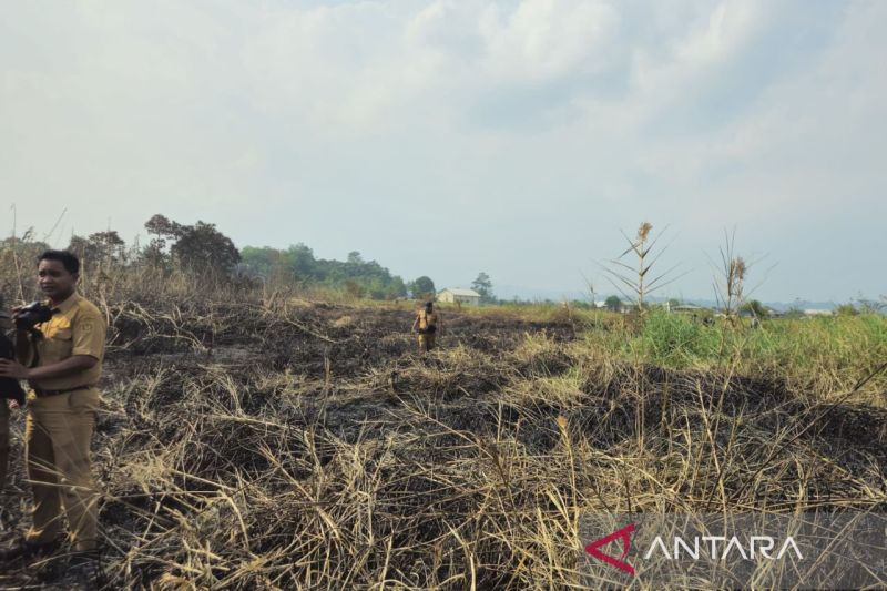 Tim gabungan kendalikan karhutla 20 hektare di Betapus Samarinda