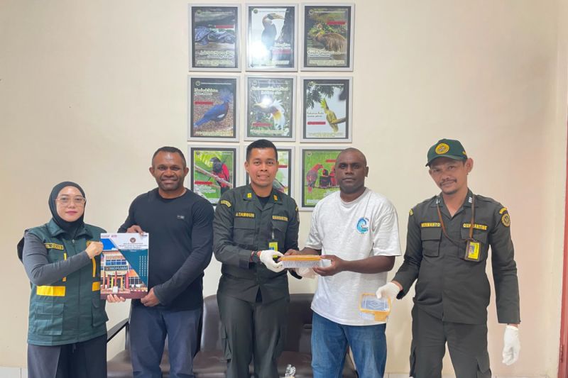 Balai Karantina Papua Tengah gagalkan pengiriman ular death adder