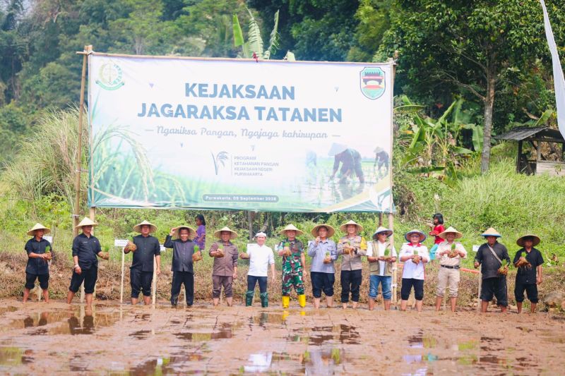 Kejari Purwakarta turun ke sawah  kawal program Jagaraksa Tatanen