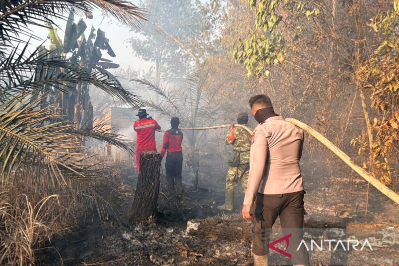 Polres Kutim tahan empat pelaku  penyebab karhutla