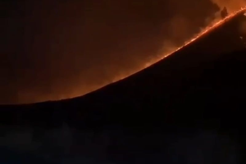 TNBTS tutup sebagian akses wisata Bromo pascakebakaran Sabana Pengol