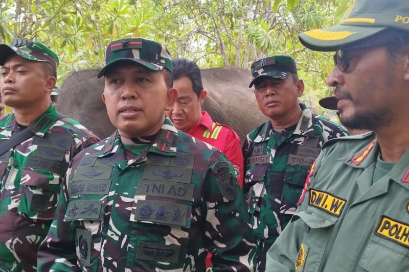 Satgas Karhutla Sumsel kendalikan kebakaran 90 hektare di SM Padang Sugihan