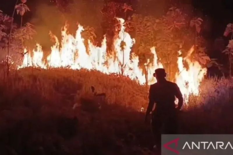 Update Karhutla Jabar: Kebakaran lahan hanguskan 325 hektare di 121 kecamatan