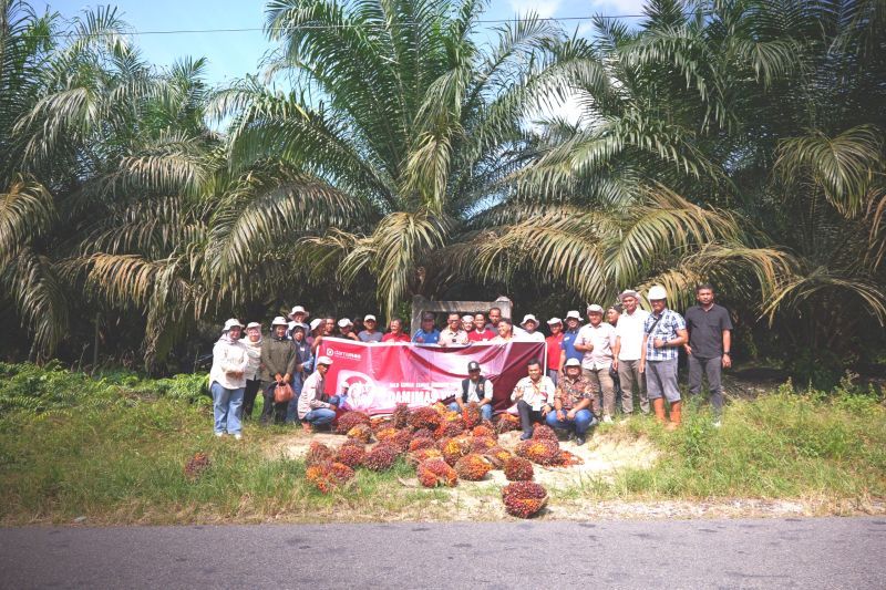 PT Dami Mas ajak lihat langsung proses pembibitan kelapa sawit
