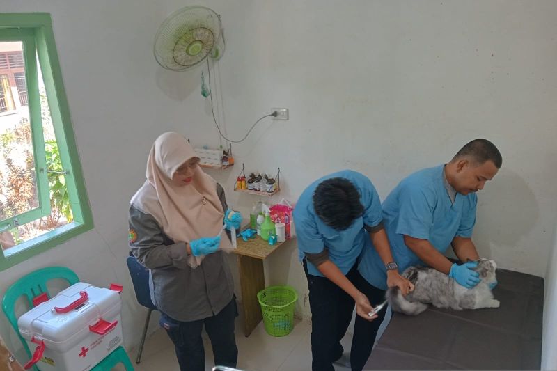 Kementan siapkan 1.000 dosis vaksin rabies di Bangka