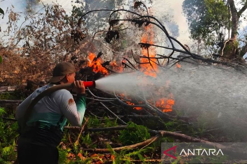 RI senantiasa patuhi mekanisme ASEAN tangani dampak karhutla