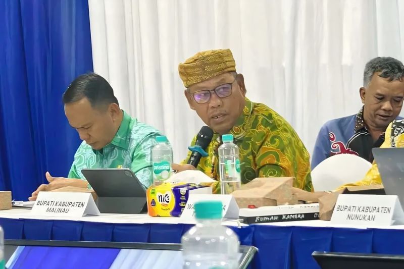 Malinau usulkan pemenuhan listrik wilayah pedalaman dan perbatasan