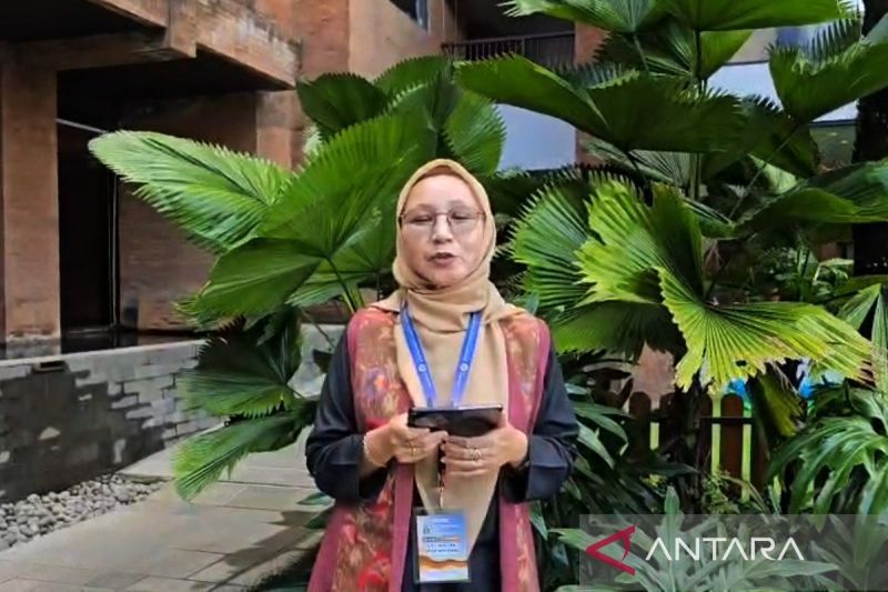 PVMBG benarkan pertumbuhan Gunung Anak Krakatau cepat namun aman