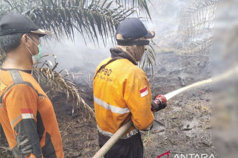BPBD atasi karhutla di Teluk Limau Muara Enim