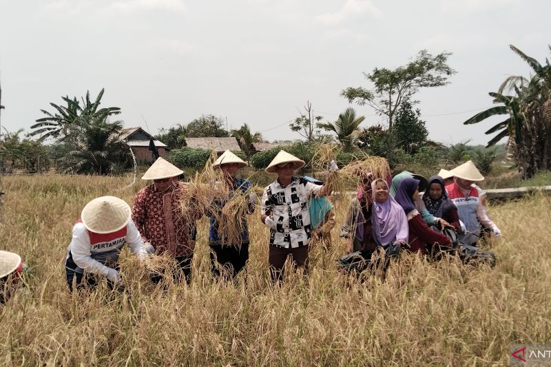 Menghidupkan kembali "tanah mati" Pengabuan