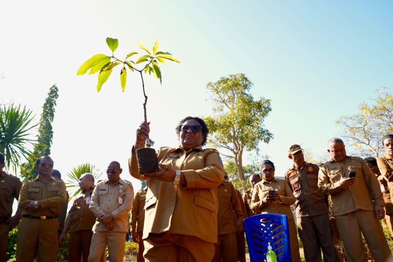 Wamendagri ajak pemda dan masyarakat NTT tanam pohon secara masif