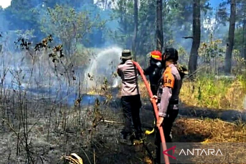 BNPB: Penyiraman darat berhasil padamkan karhutla di Mamuju & Minahasa