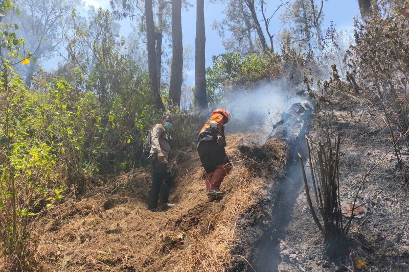 Perhutani pastikan kebakaran di Gunung Butak sepenuhnya padam