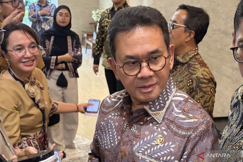 Mendag sebut kenaikan harga cabai rawit karena faktor cuaca