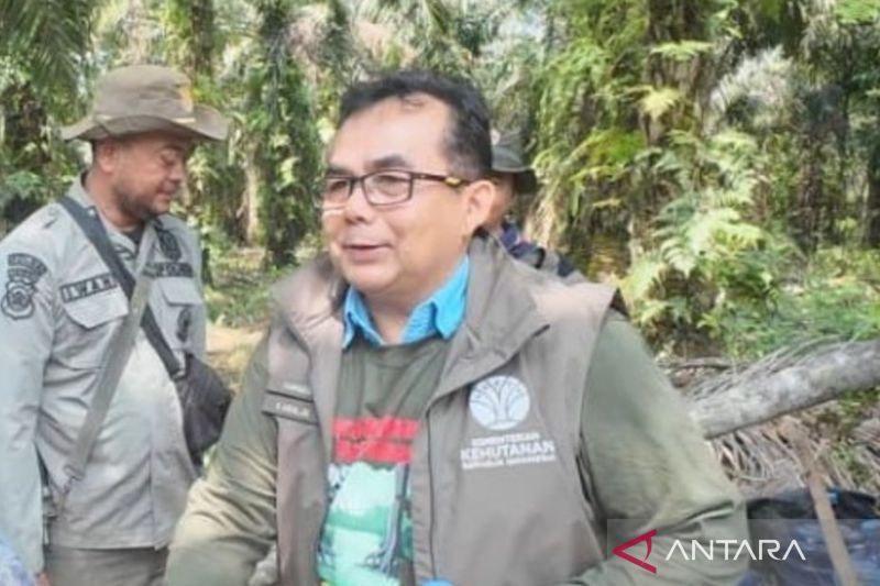 Hujan tiga hari beruntun, karhutla di TN Berbak & Sembilang berkurang