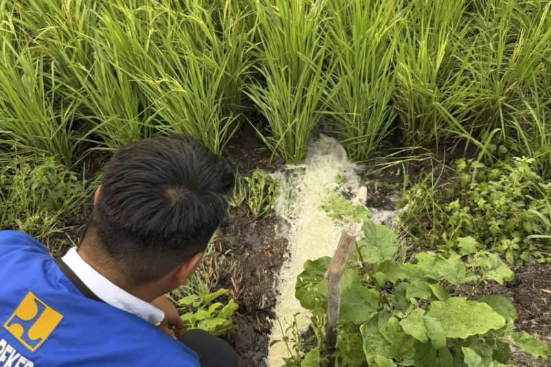 kementerian-pu-salurkan-air-ke-area-persawahan-di-muaro-jambi