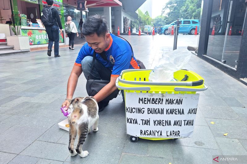 Warga Jaksel diimbau sterilisasi kucing untuk kendalikan populasi
