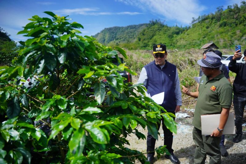 aceh-tengah-perkuat-penyuluh-dan-petani-kopi-lewat-dukungan-pusat