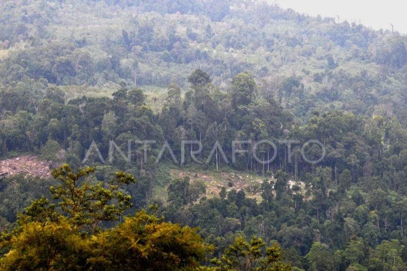 aceh-resmi-jalankan-program-rbp-redd-untuk-perkuat-tata-kelola-hutan