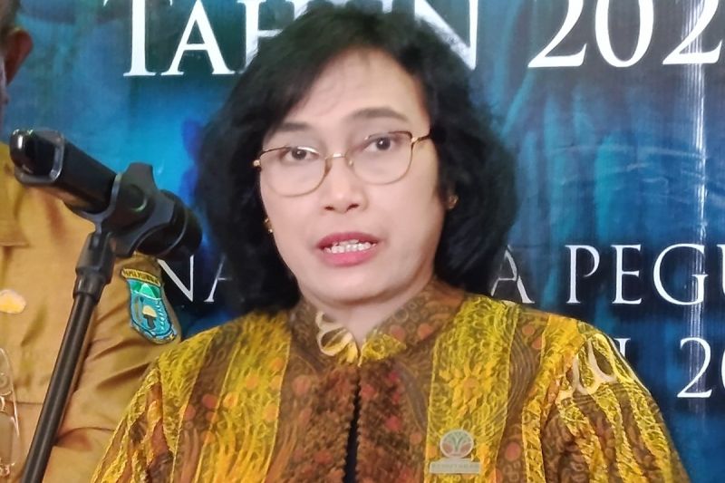 Kemenhut: 80 persen hutan di Papua Pegunungan masih terjaga baik