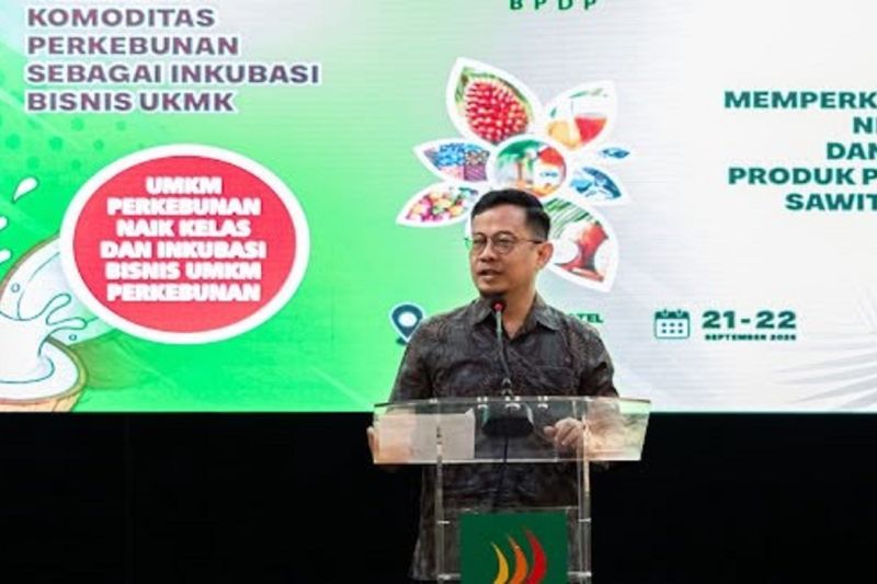 bpdp-dukung-pendanaan-hilirisasi-bagi-ukmk-hingga-rp500-juta
