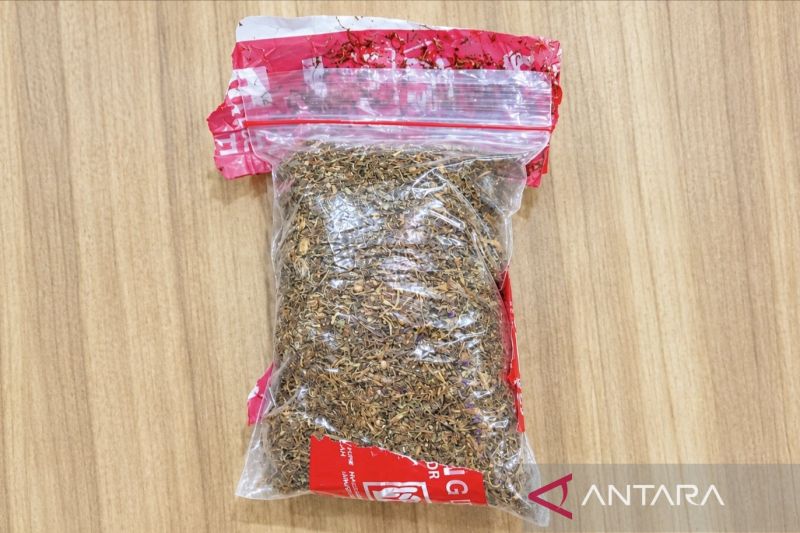 polisi-tangkap-dua-pria-saat-transaksi-10263-gram-tembakau-sintetis
