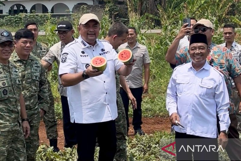 bupati-bogor-panen-di-median-bomang-jadi-pendapatan-kelompok-tani