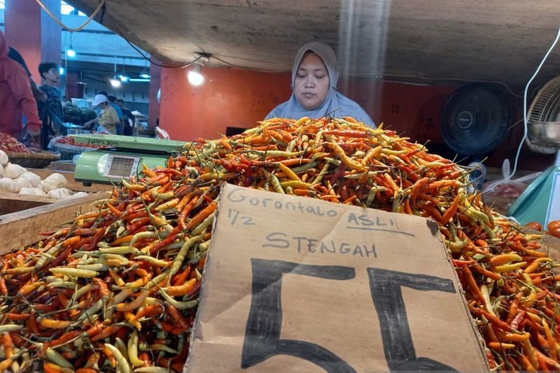 pengamat-harga-cabai-tinggi-dorong-inflasi-sulut-42-persen