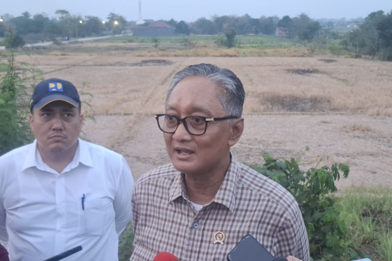 menteri-pu-optimistis-swasembada-pangan-2026-tetap-tercapai