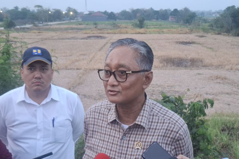menteri-pu-penguatan-pompanisasi-jadi-solusi-atasi-sawah-kekeringan