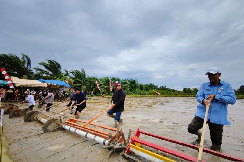 brmp-terapkan-metode-tanam-padi-modern-seluas-314-hektare-di-aceh-jaya