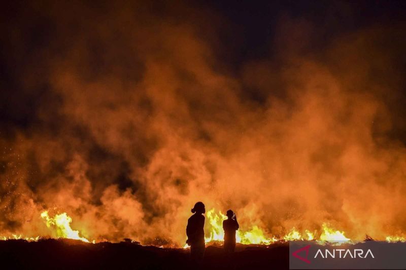 Menteri LH: Semua kekuatan sedang bekerja padamkan karhutla