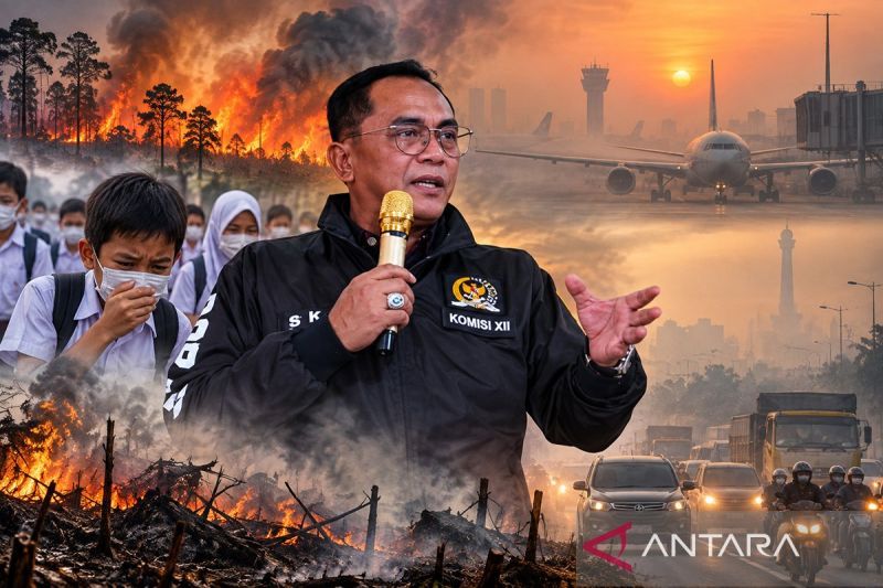BNPB sebut Kalteng-Kalbar normal, Politisi PDIP: Lihat dampak ke masyarakat