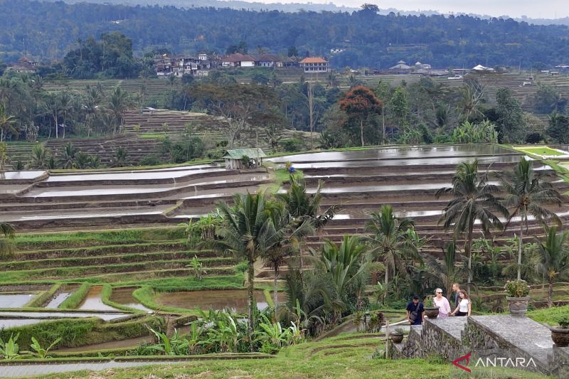 perluasan-basis-pajak-dongkrak-pemasukan-di-bali-tembus-rp112-triliun