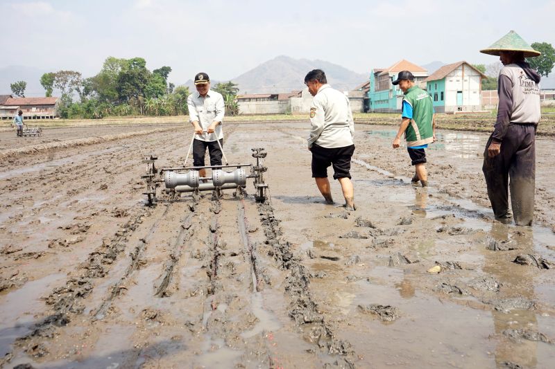 pemkab-tulungagung-terapkan-tabela-di-19-balai-penyuluhan-pertanian