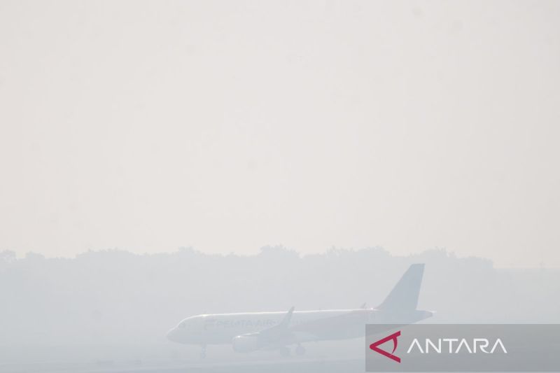 Kabut asap turunkan jarak pandang di Bandara Internasional Sultan Mahmud Badaruddin