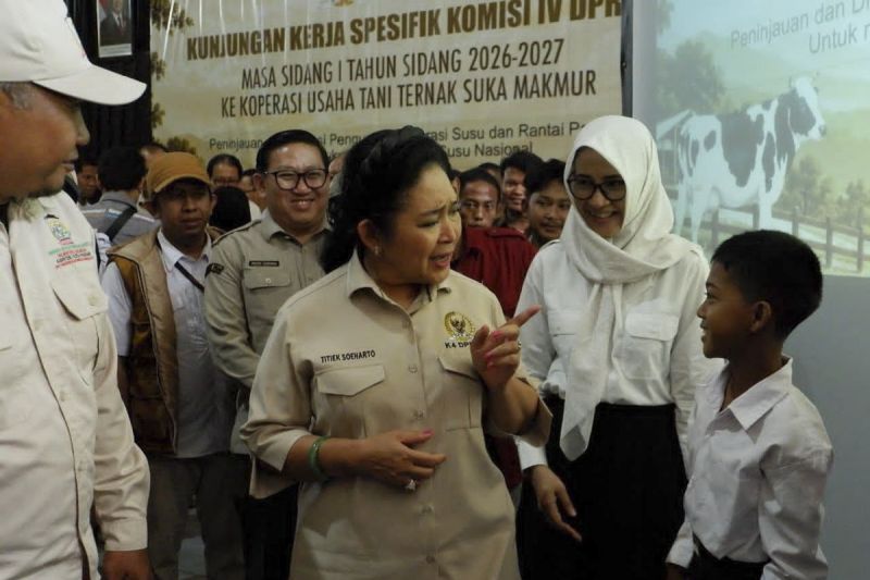 Komisi IV DPR: Kemandirian susu perlu penguatan ekosistem peternakan